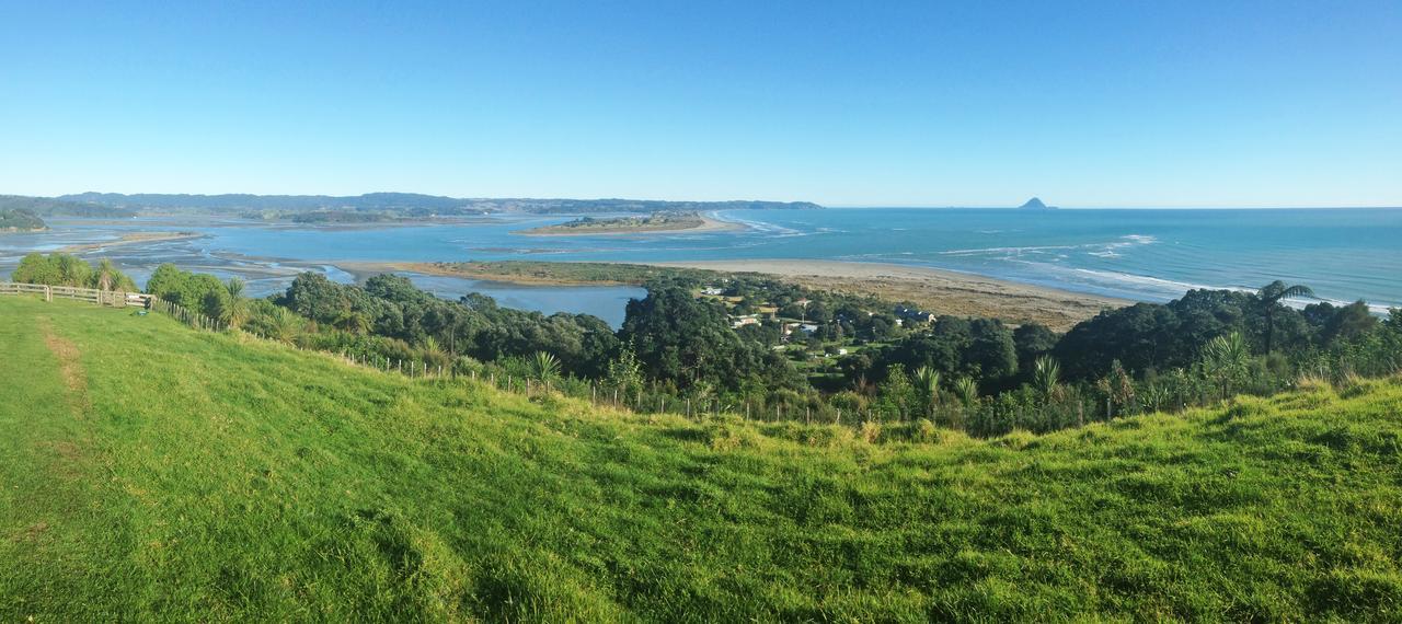 Ohiwa Seascape Studios Opotiki Exterior photo
