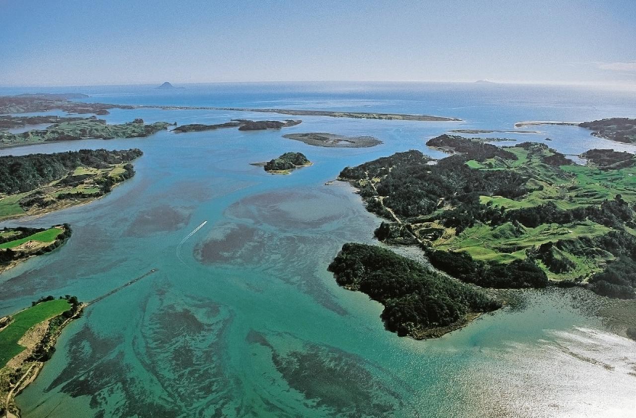 Ohiwa Seascape Studios Opotiki Exterior photo